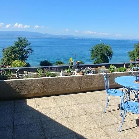 Lakefront. Appartement Pieds Dans L'Eau. View And Direct Access To The Lake. Anthy-sur-Leman Esterno foto