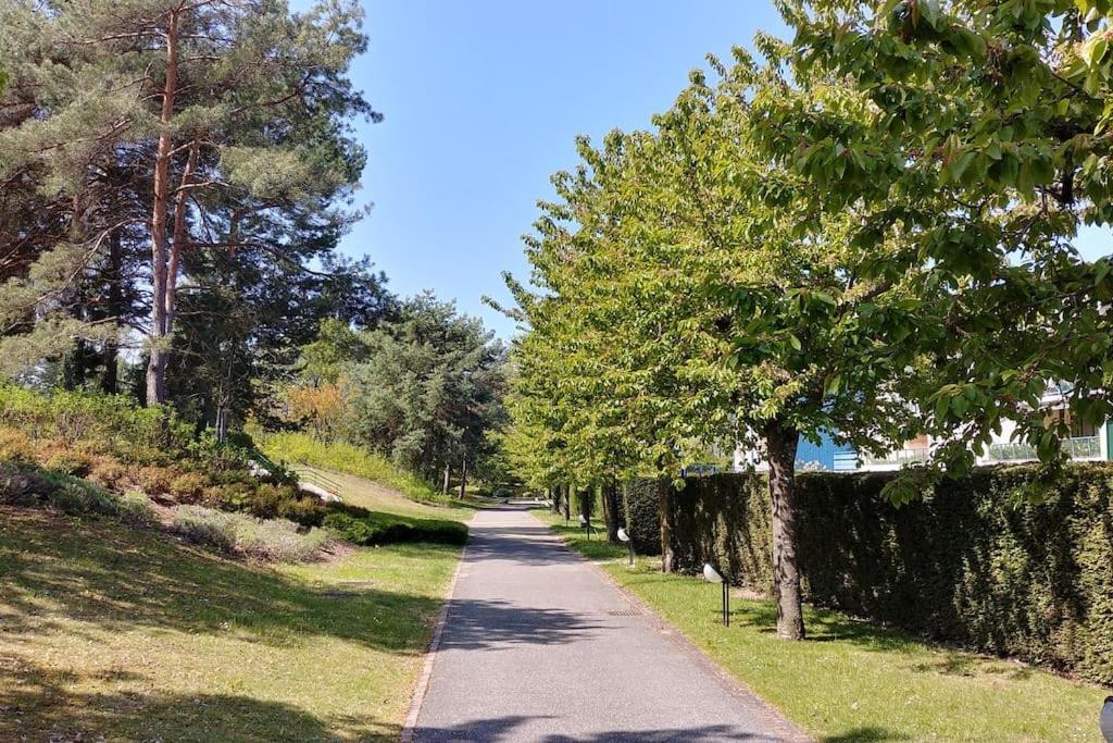 Lakefront. Appartement Pieds Dans L'Eau. View And Direct Access To The Lake. Anthy-sur-Leman Esterno foto