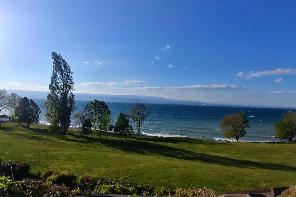 Lakefront. Appartement Pieds Dans L'Eau. View And Direct Access To The Lake. Anthy-sur-Leman Esterno foto