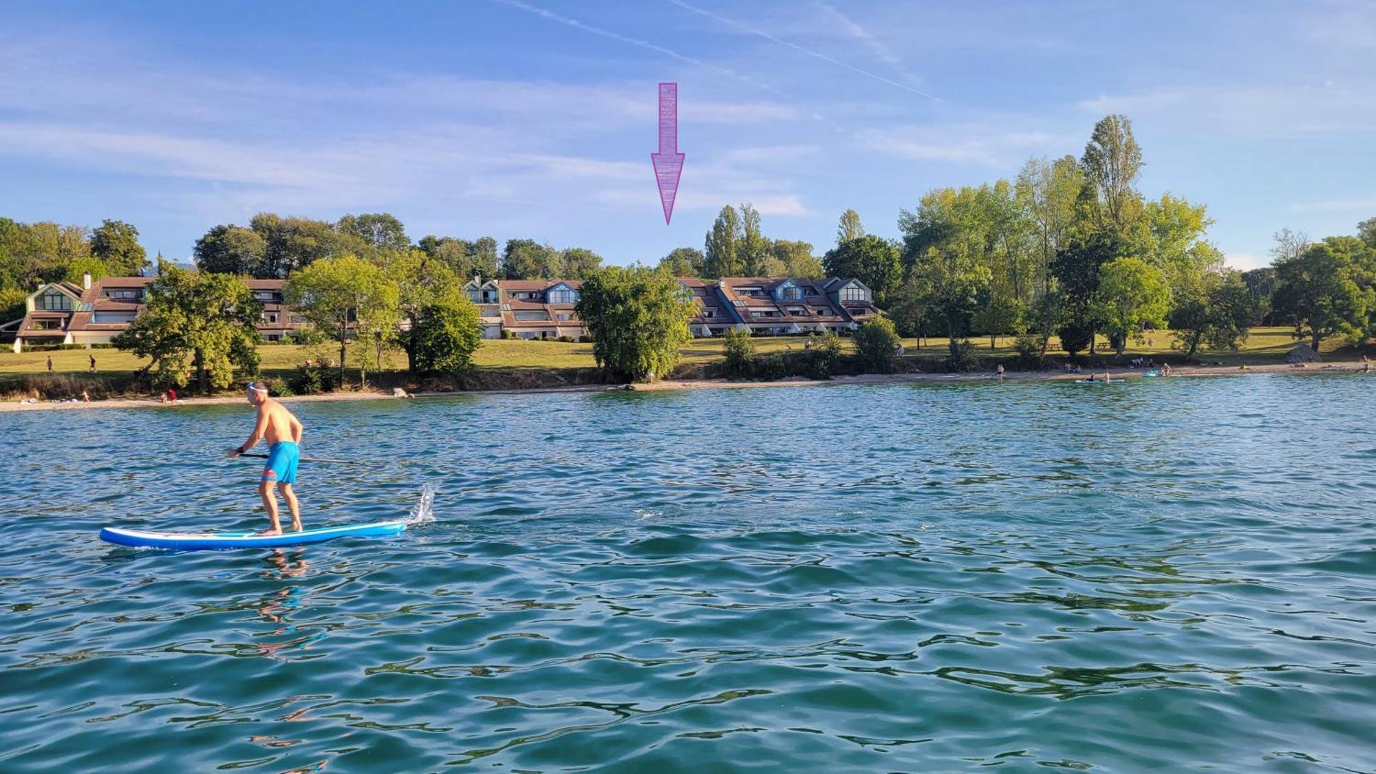 Lakefront. Appartement Pieds Dans L'Eau. View And Direct Access To The Lake. Anthy-sur-Leman Esterno foto